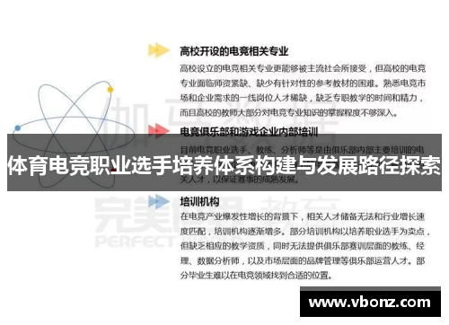 体育电竞职业选手培养体系构建与发展路径探索