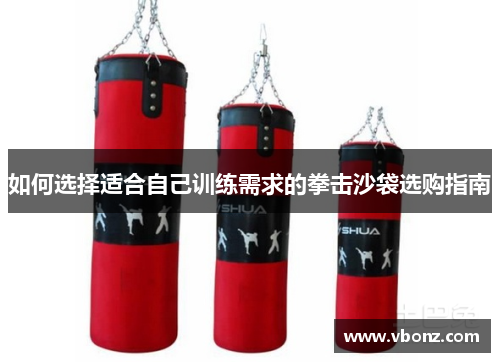 如何选择适合自己训练需求的拳击沙袋选购指南