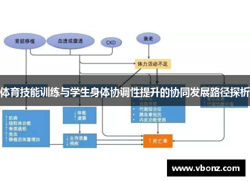体育技能训练与学生身体协调性提升的协同发展路径探析