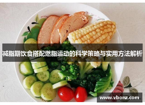 减脂期饮食搭配燃脂运动的科学策略与实用方法解析