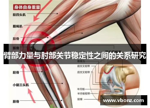 臂部力量与肘部关节稳定性之间的关系研究