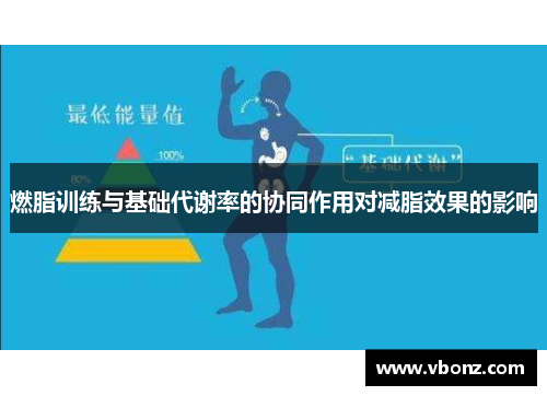 燃脂训练与基础代谢率的协同作用对减脂效果的影响